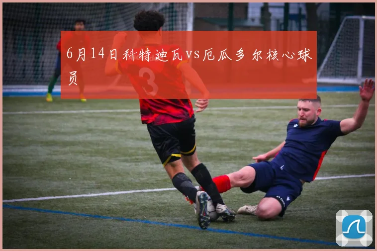 6月14日科特迪瓦vs厄瓜多尔核心球员