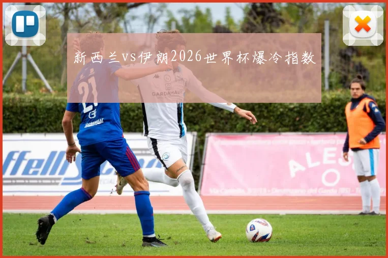 新西兰vs伊朗2026世界杯爆冷指数