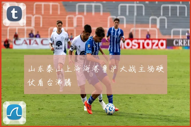 山东泰山上海海港鲁沪大战主场硬仗看台沸腾