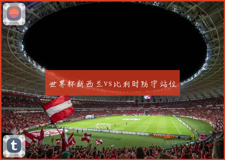 世界杯新西兰vs比利时防守站位
