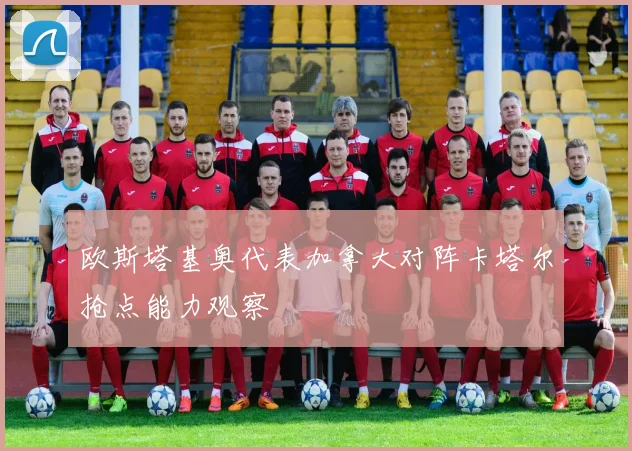 欧斯塔基奥代表加拿大对阵卡塔尔抢点能力观察