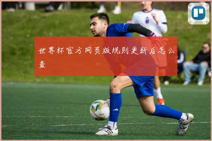 世界杯官方网页版规则更新后怎么查